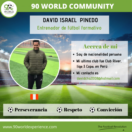 David Pinedo Perfil Pro - 90 World Experience