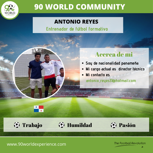 Antonio Reyes Perfil Pro - 90 WE